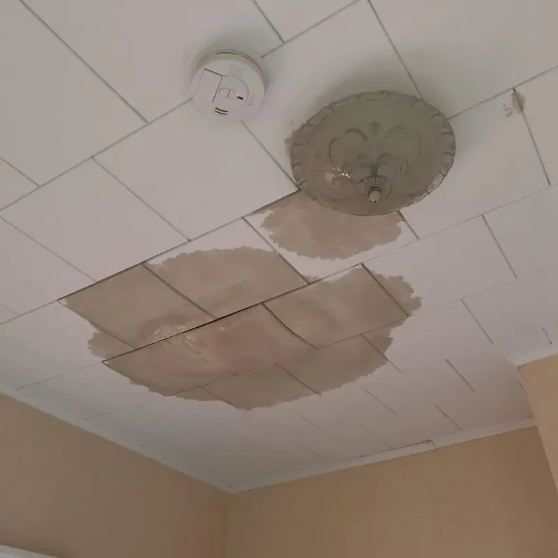Ceiling Water Damage Repair in Boxborough, MA